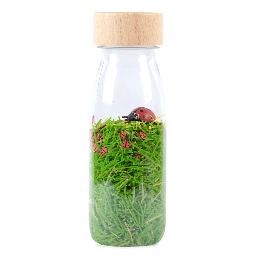 Bouteille sensorielle Petit Boum coccinelle