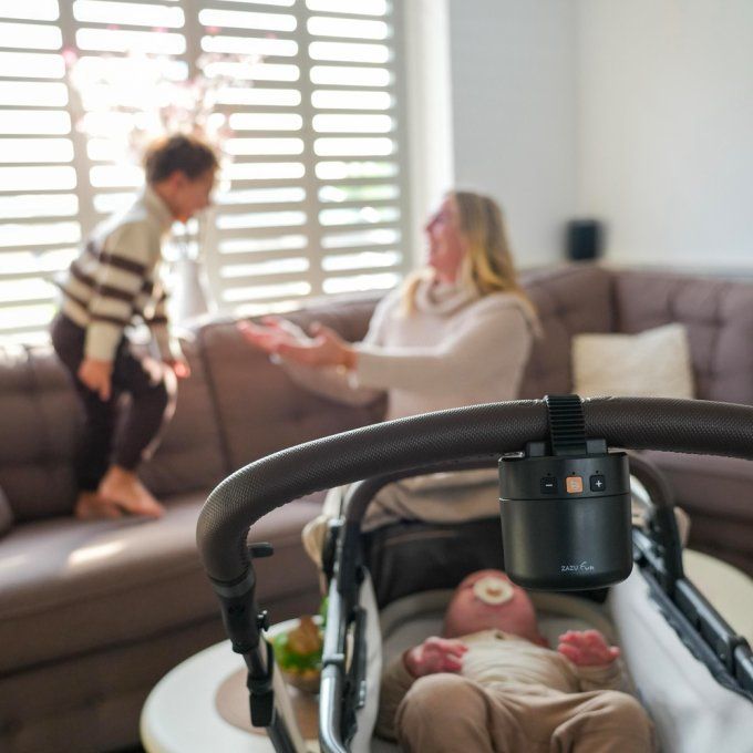 Balancelle accessoire poussette intelligent Zazu Roxy