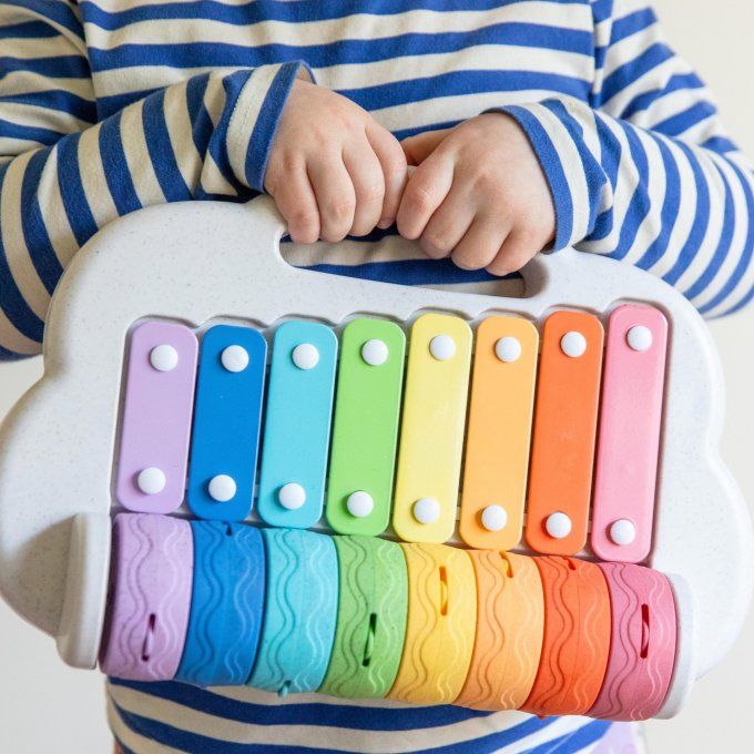 Xylophone rouleaux arc en ciel bébé enfant Tiger Tribe