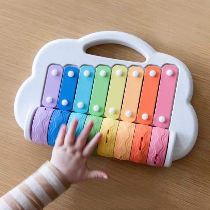 Xylophone rouleaux arc en ciel bébé enfant Tiger Tribe