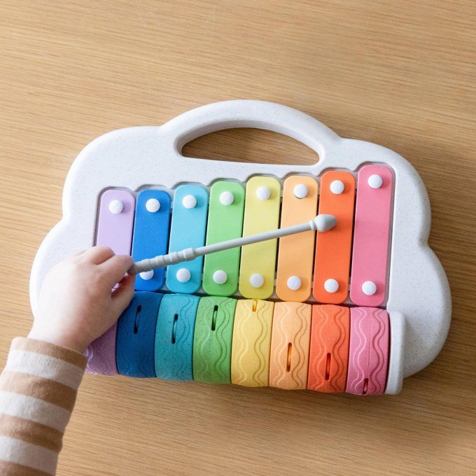 Xylophone rouleaux arc en ciel bébé enfant Tiger Tribe